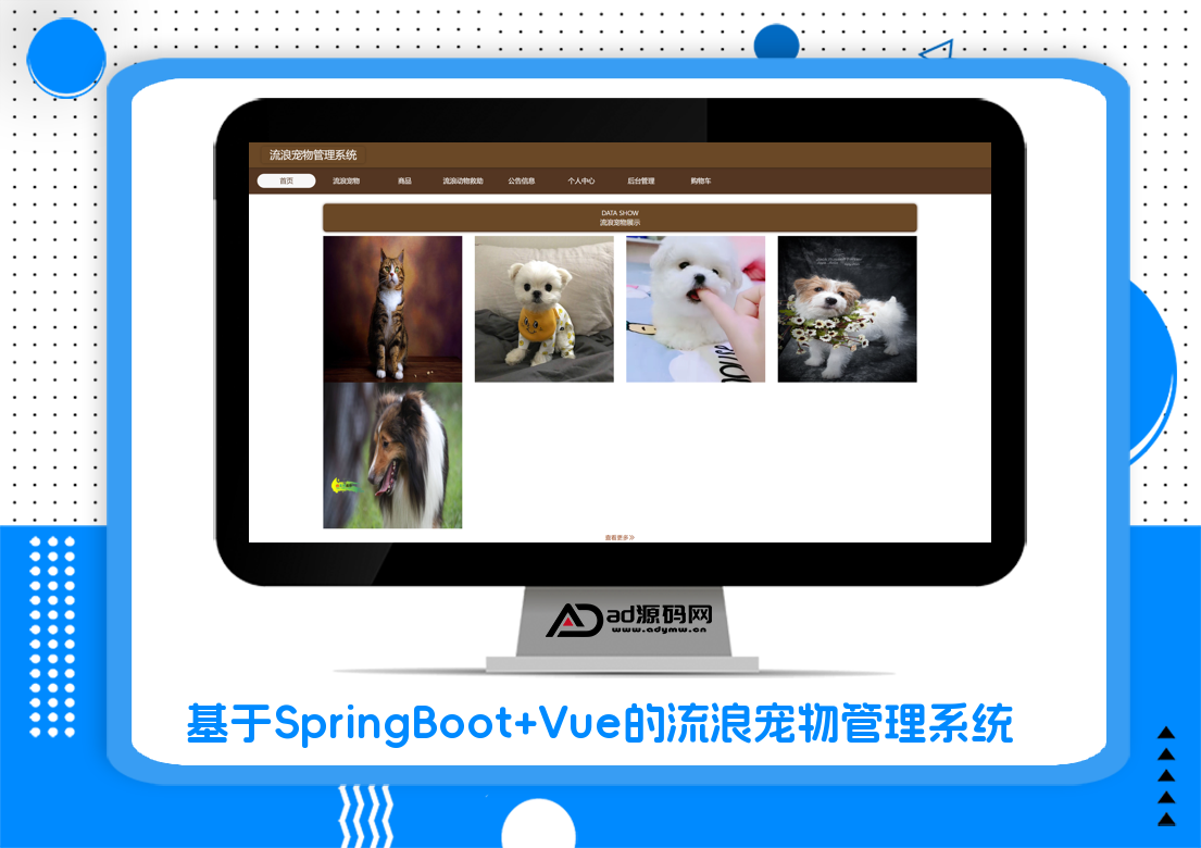 基于SpringBoot+Vue的流浪宠物管理系统