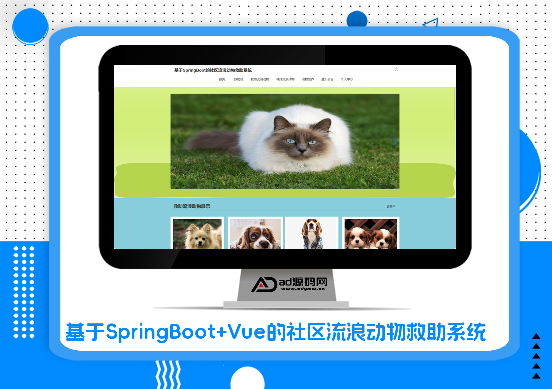基于SpringBoot Vue的社区流浪动物救助系统